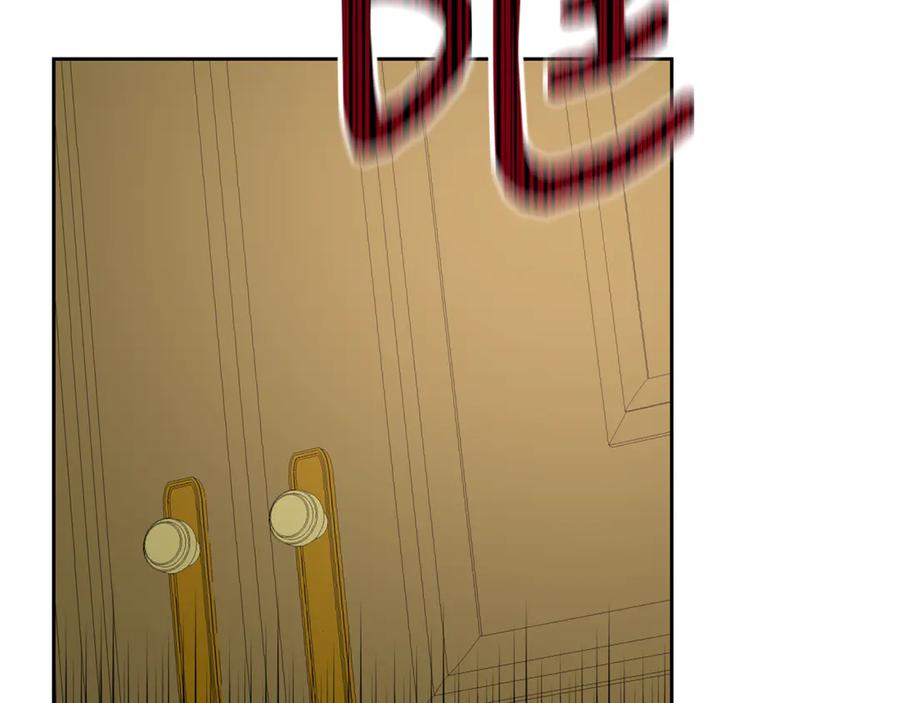 243.jpg