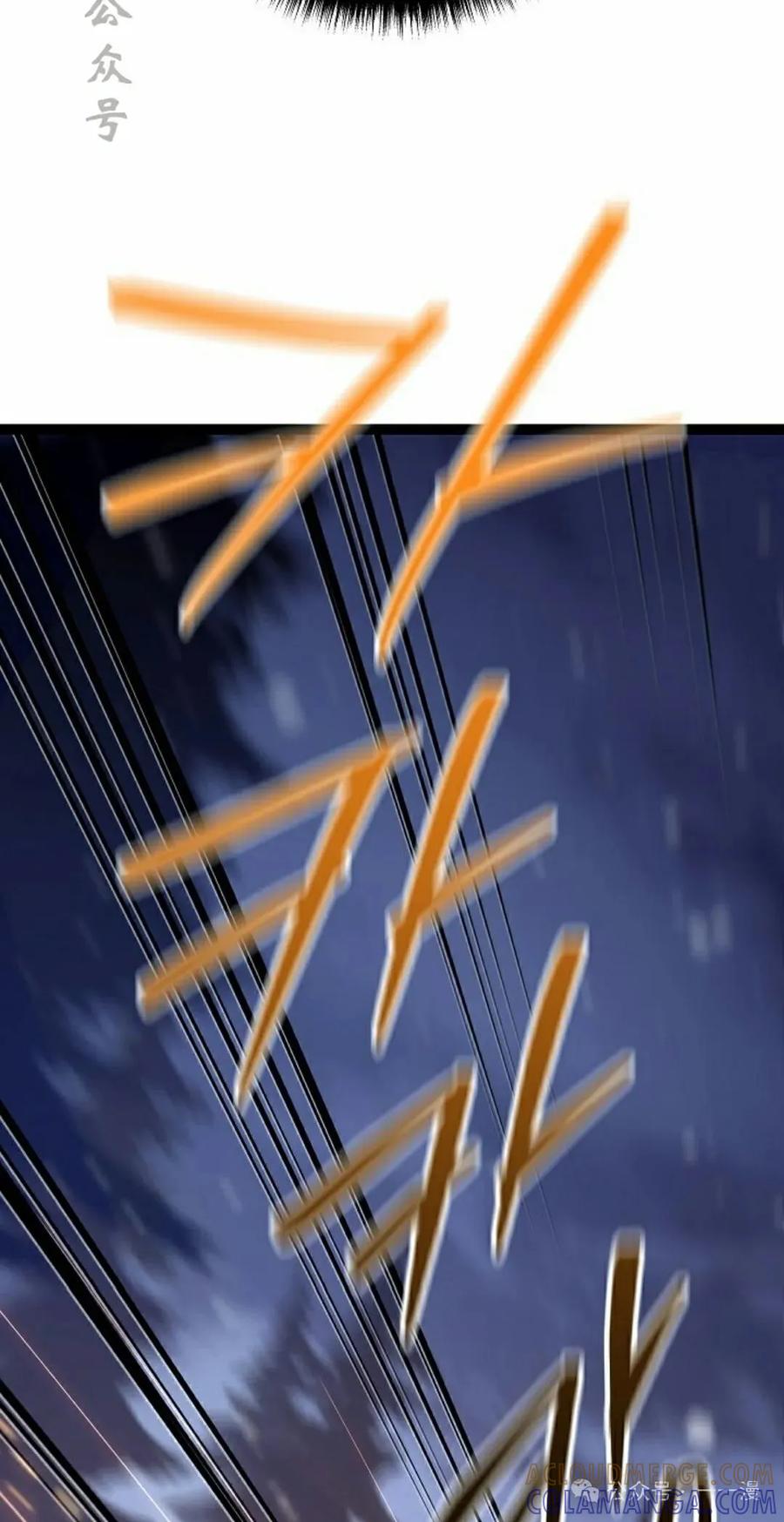 81.jpg