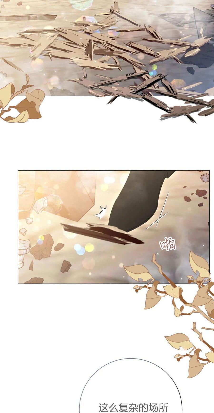 第39话-拜托放过艾米丽小姐吧-서정（第15张）