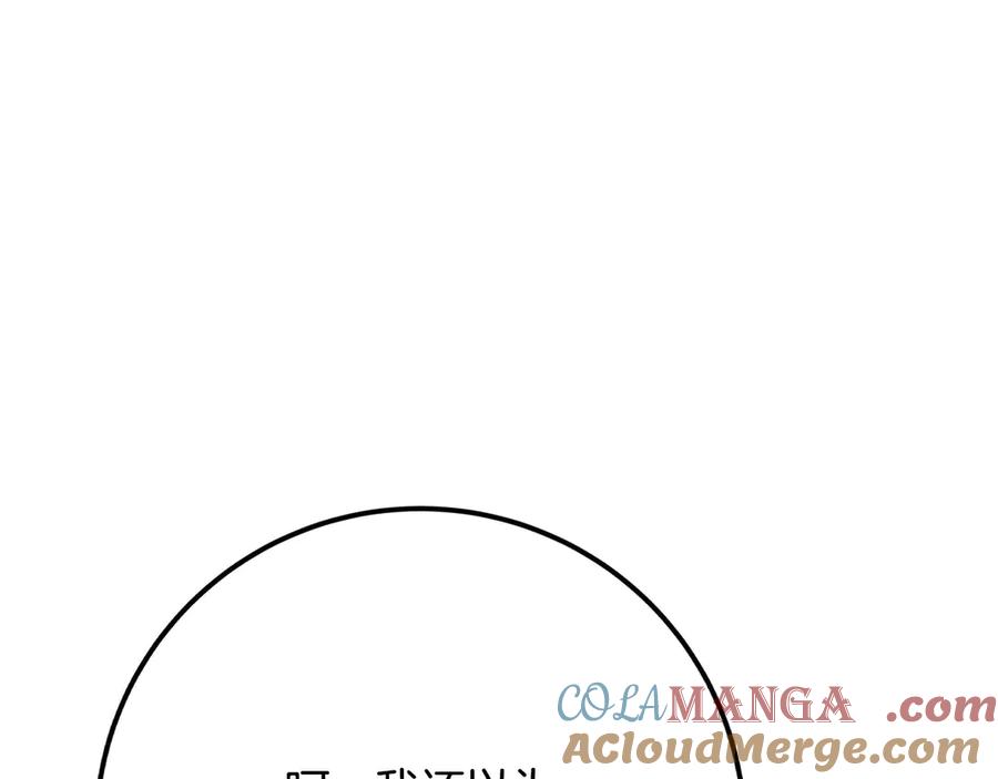 237.jpg