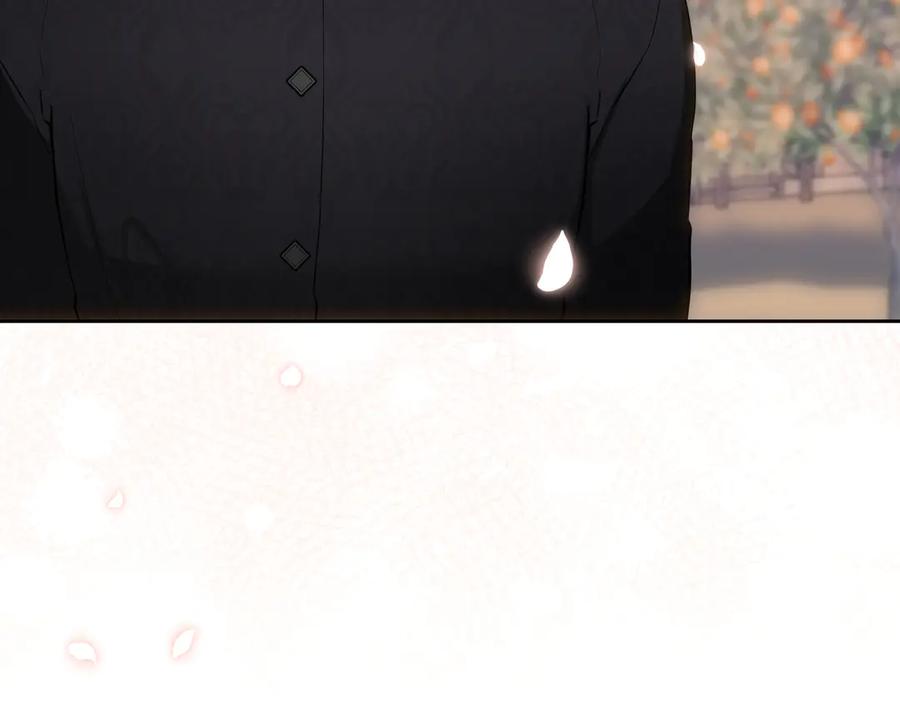 135.jpg