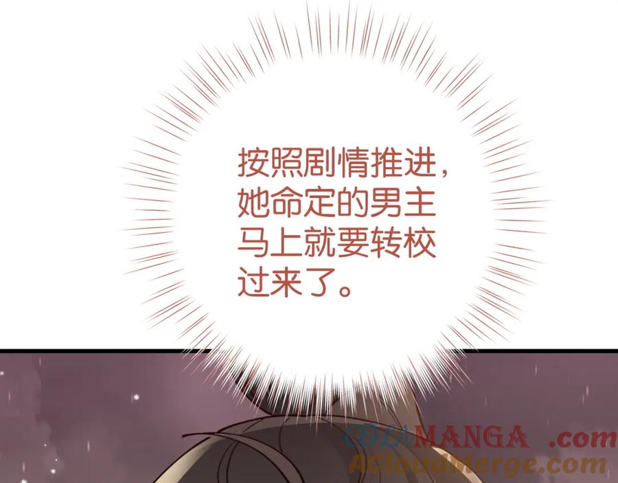 113.jpg