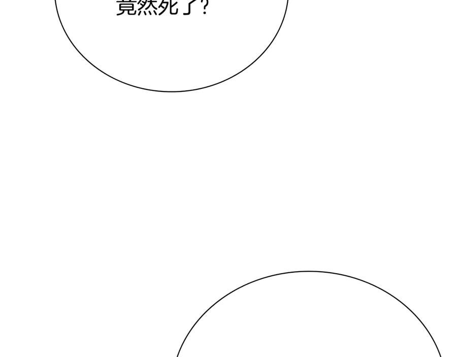 196.jpg