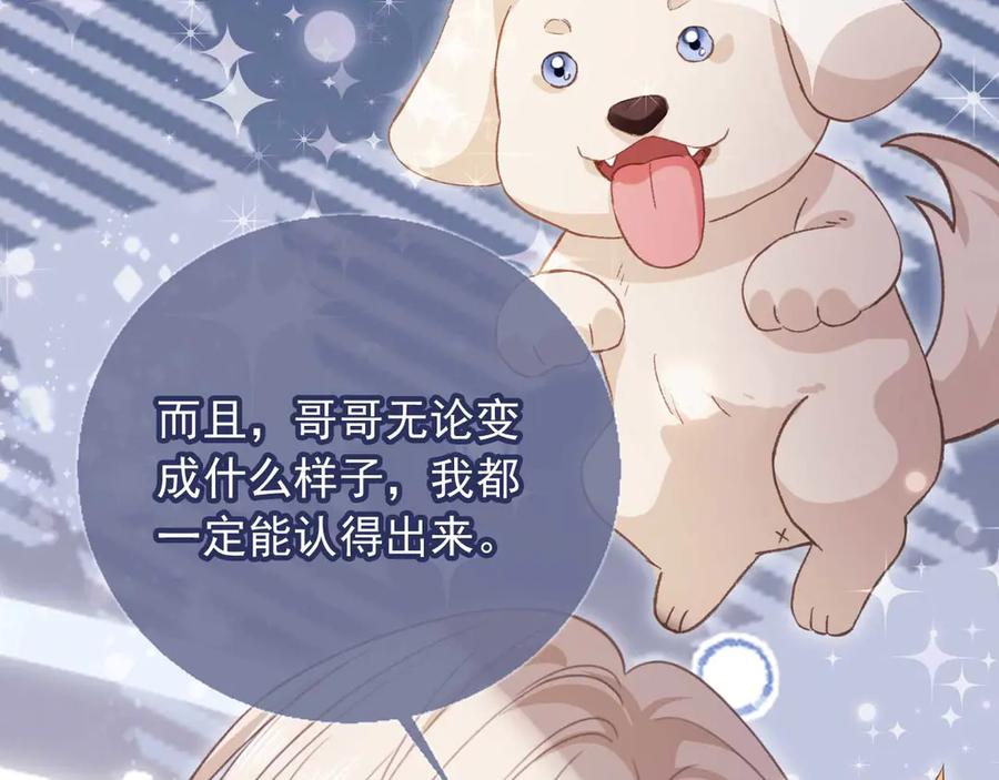 第74话关你屁事！-白月光他爱上替身了？！-荣华富贵（原著）+漫神动漫（第11张）