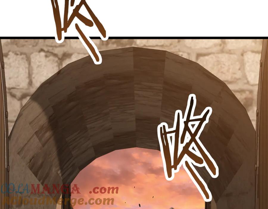 245.jpg