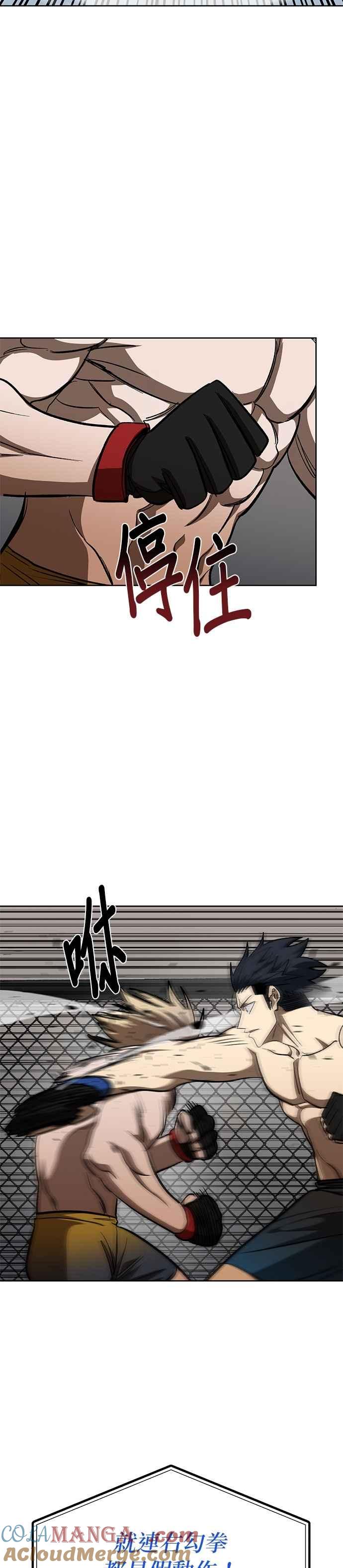 第121话-八角笼的帝王-GOPUBI（第32张）