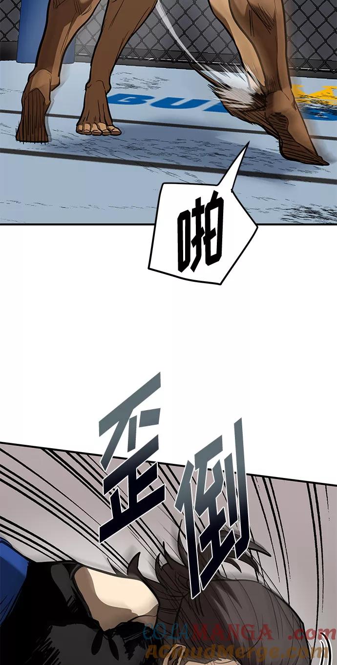 第45话-八角笼的帝王-GOPUBI（第15张）