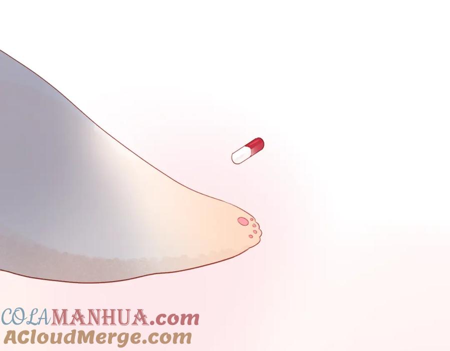 97.jpg
