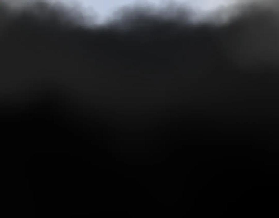 100.jpg