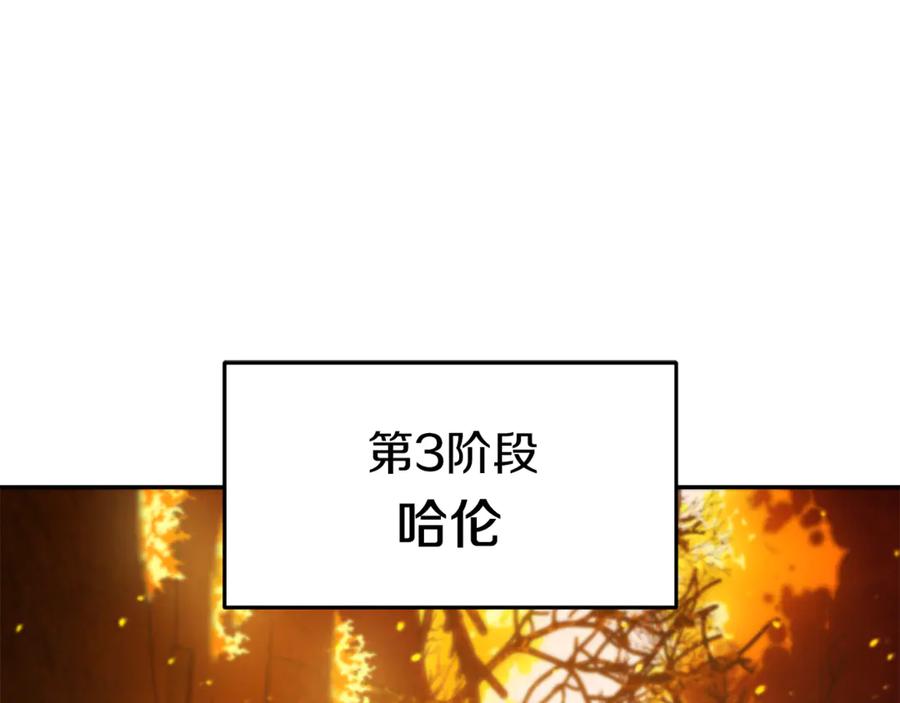 96.jpg