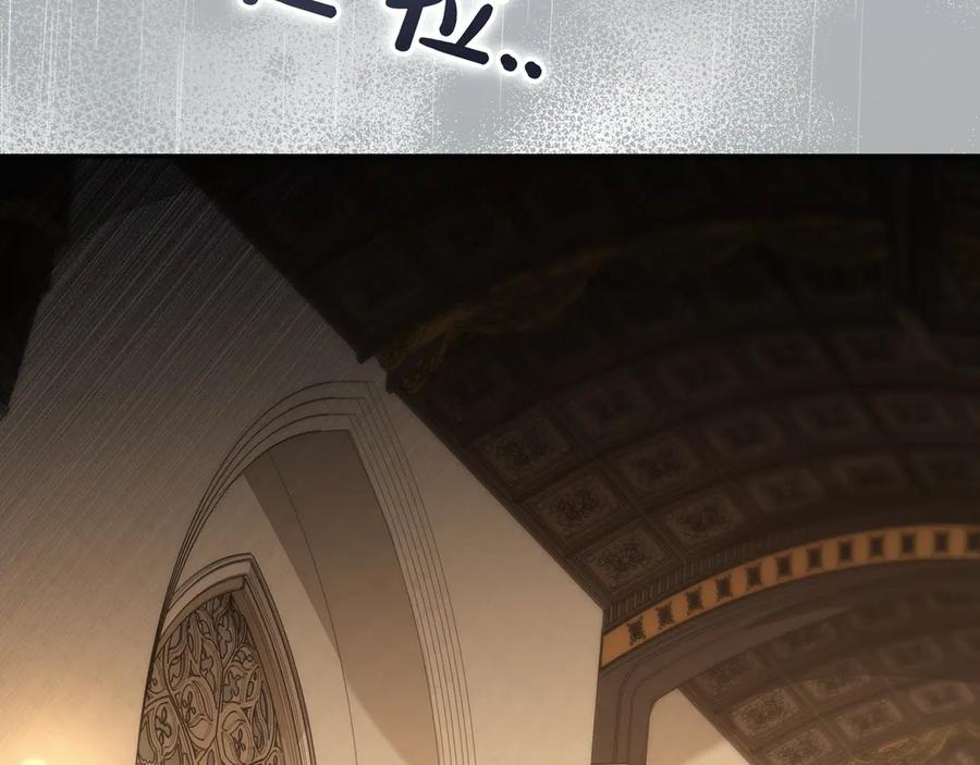 146.jpg
