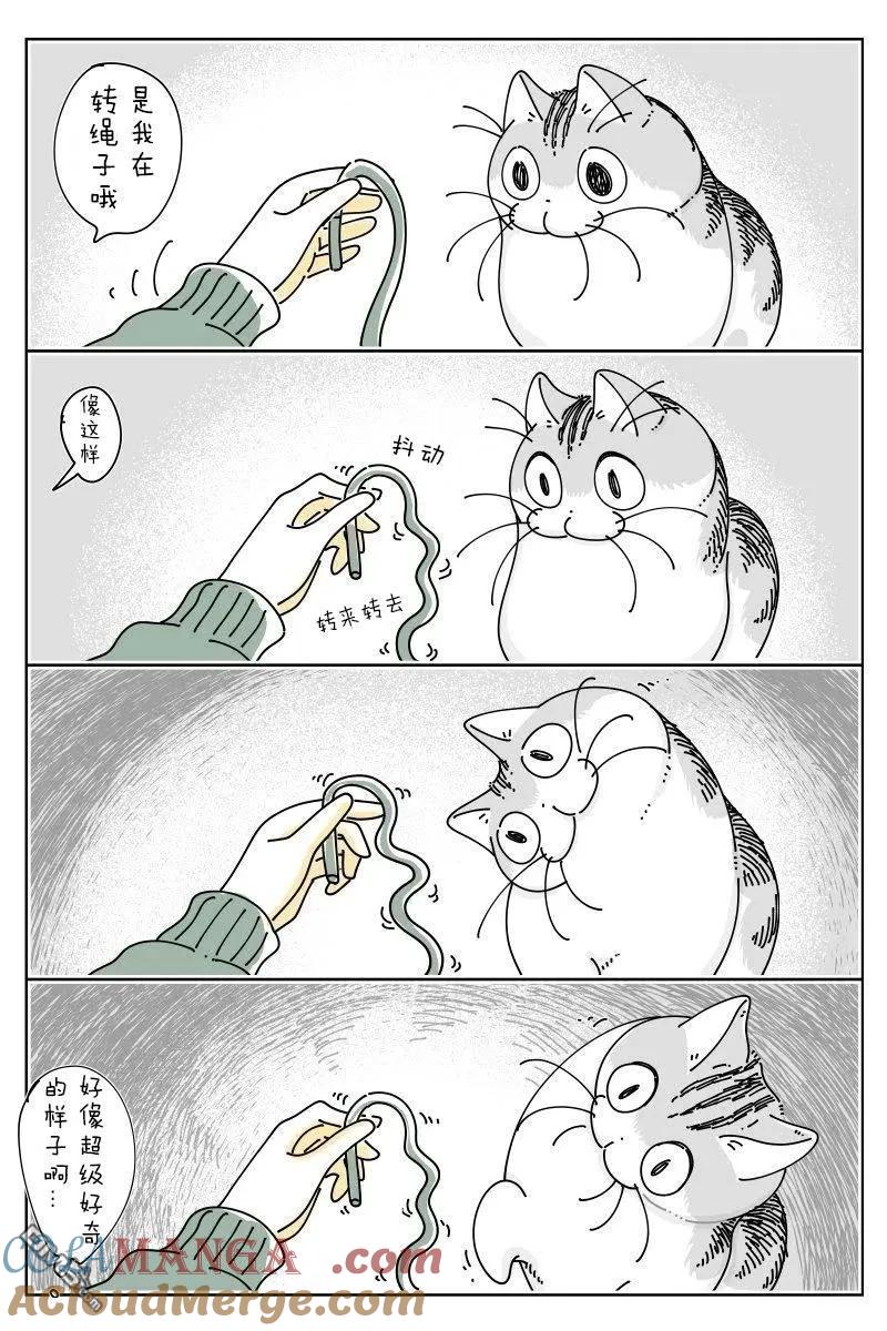 第240话-关于养猫我一直是新手-キュルZ（第2张）