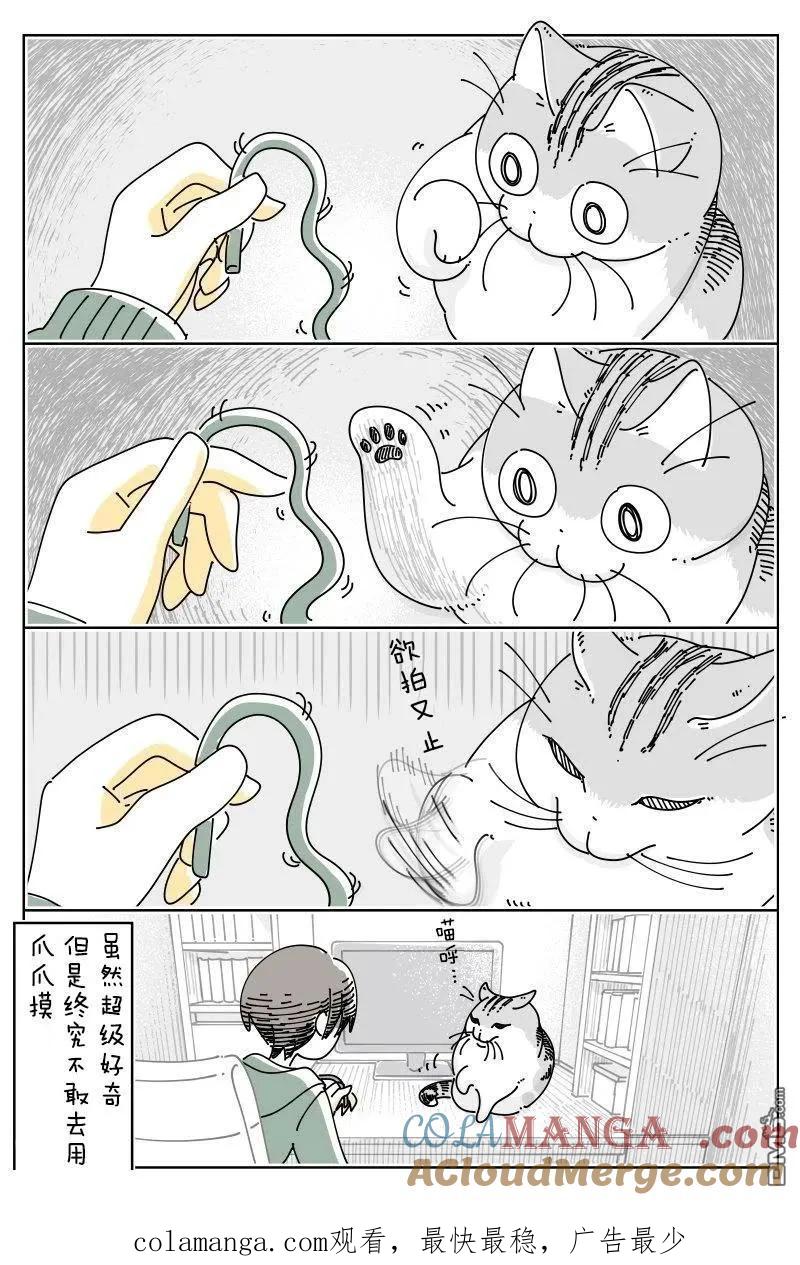 第240话-关于养猫我一直是新手-キュルZ（第3张）