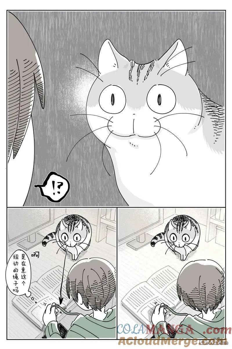 第240话-关于养猫我一直是新手-キュルZ（第1张）