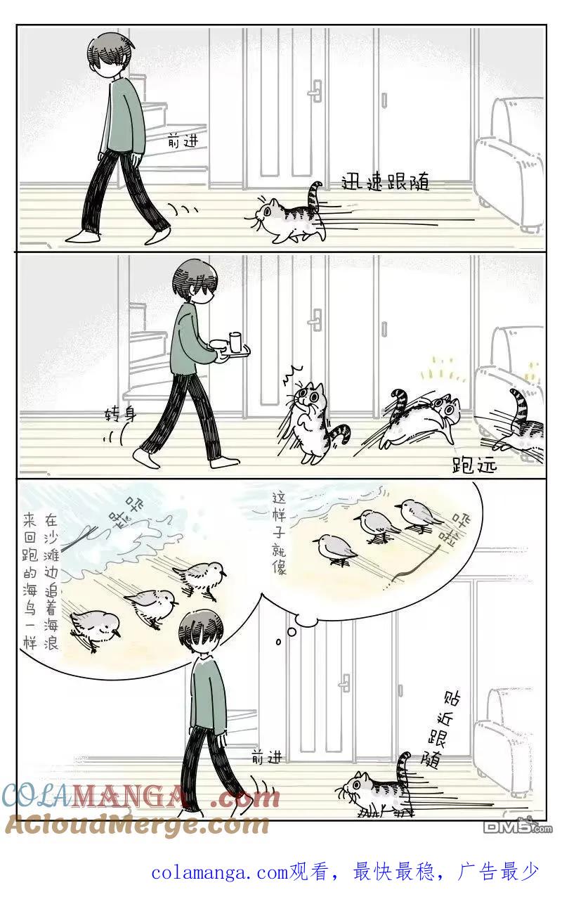 第255话-关于养猫我一直是新手-キュルZ（第2张）