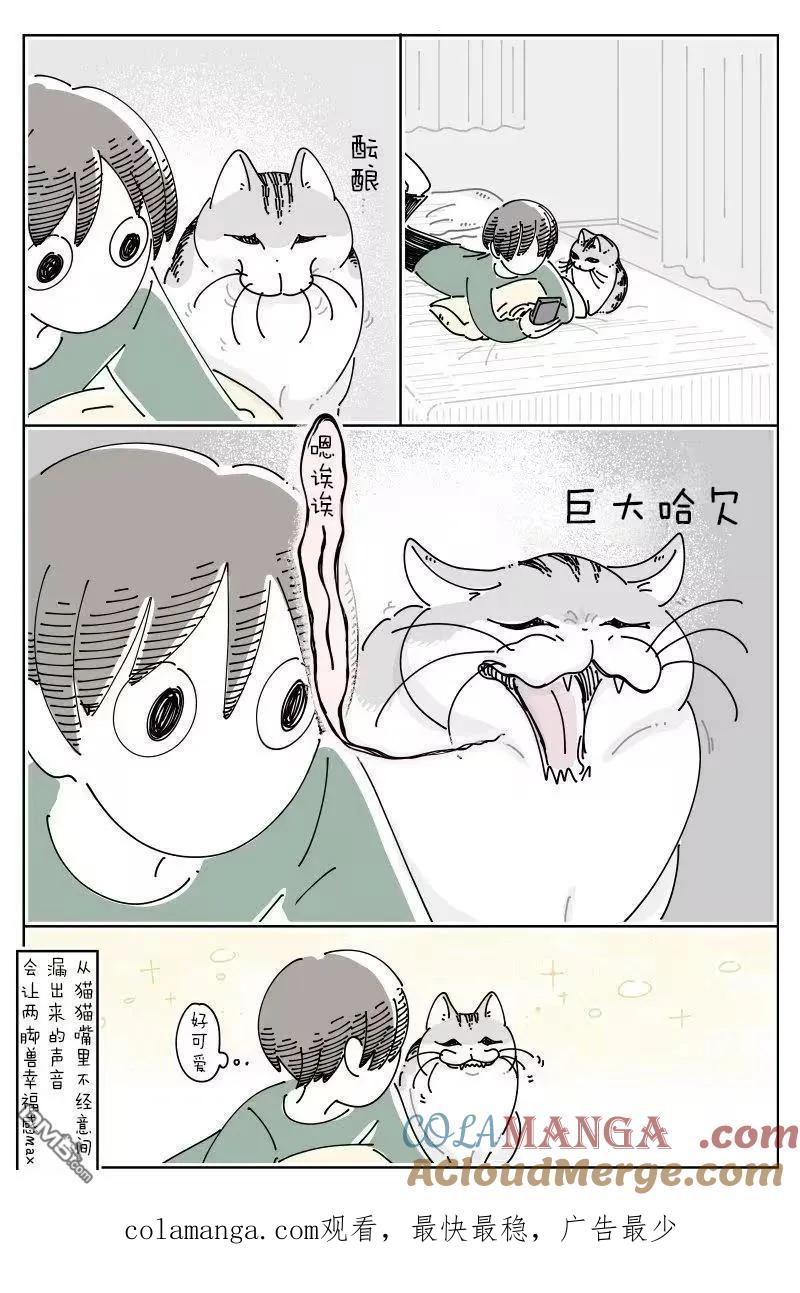 第256话-关于养猫我一直是新手-キュルZ（第2张）