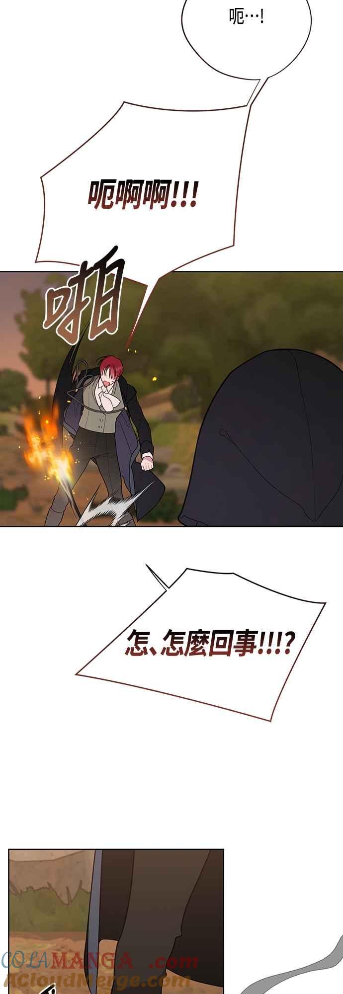 49.jpg