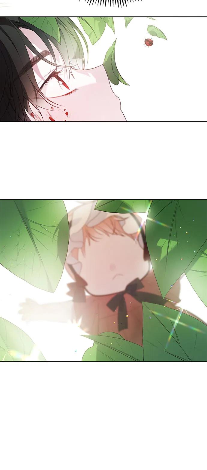45.jpg