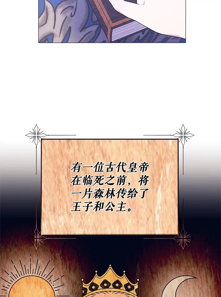 78.jpg