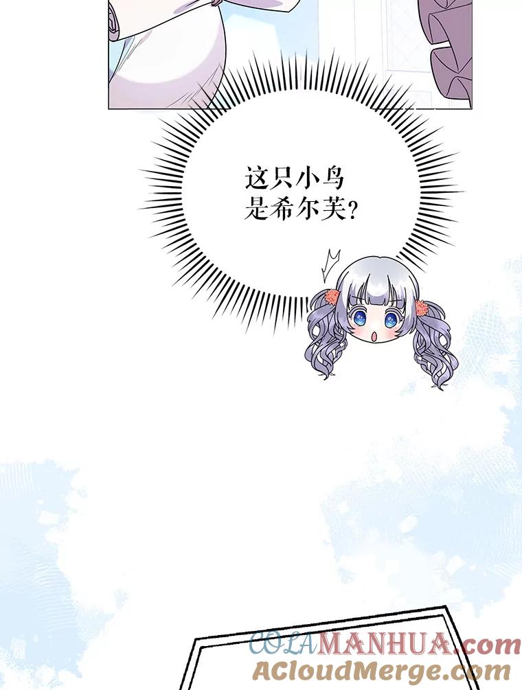 81.jpg