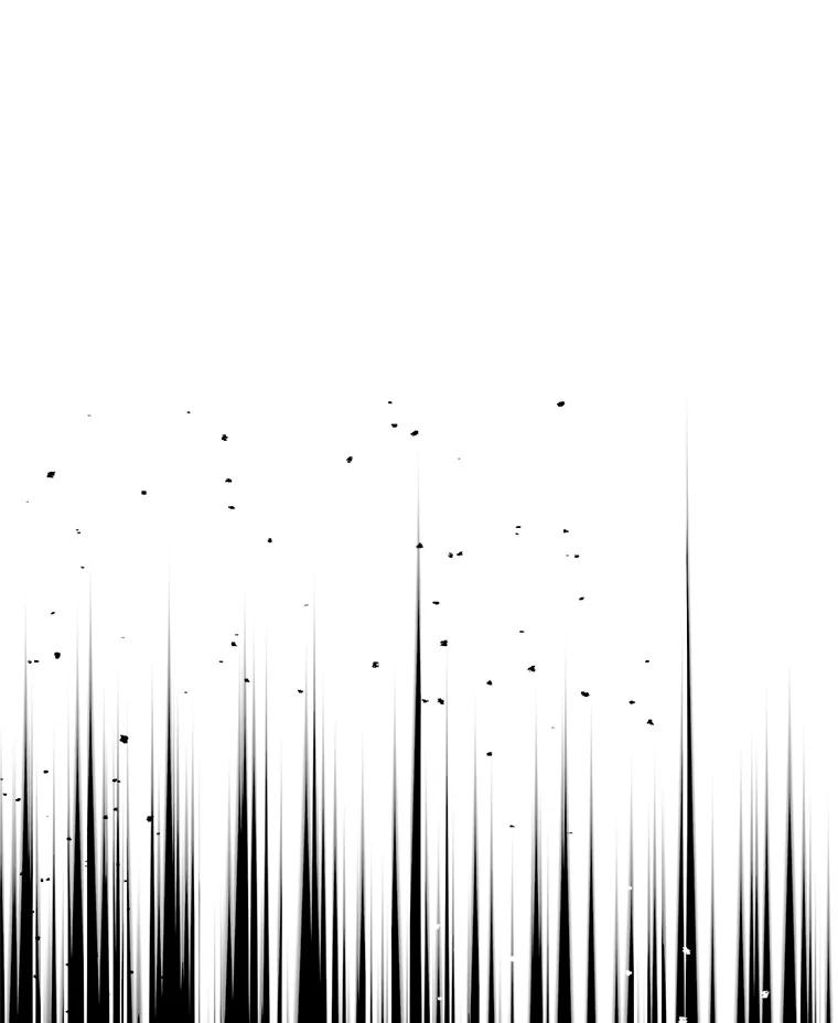 91.jpg
