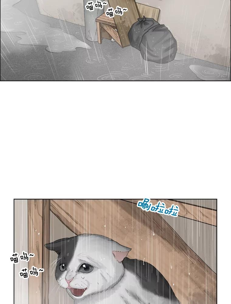 118.孤独的猫咪-甜咸男女-LiKnow,GY（第2张）