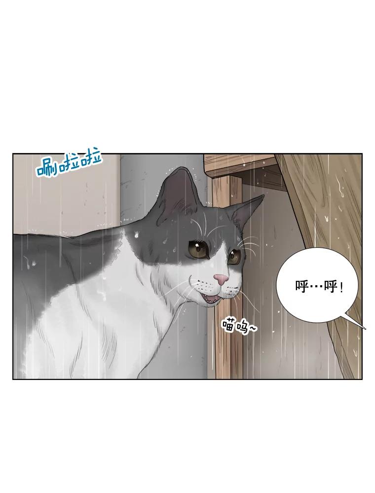 118.孤独的猫咪-甜咸男女-LiKnow,GY（第26张）