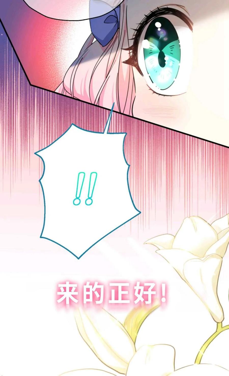 79.jpg