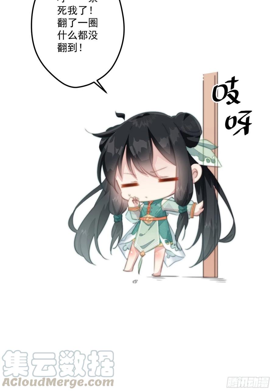 41.jpg