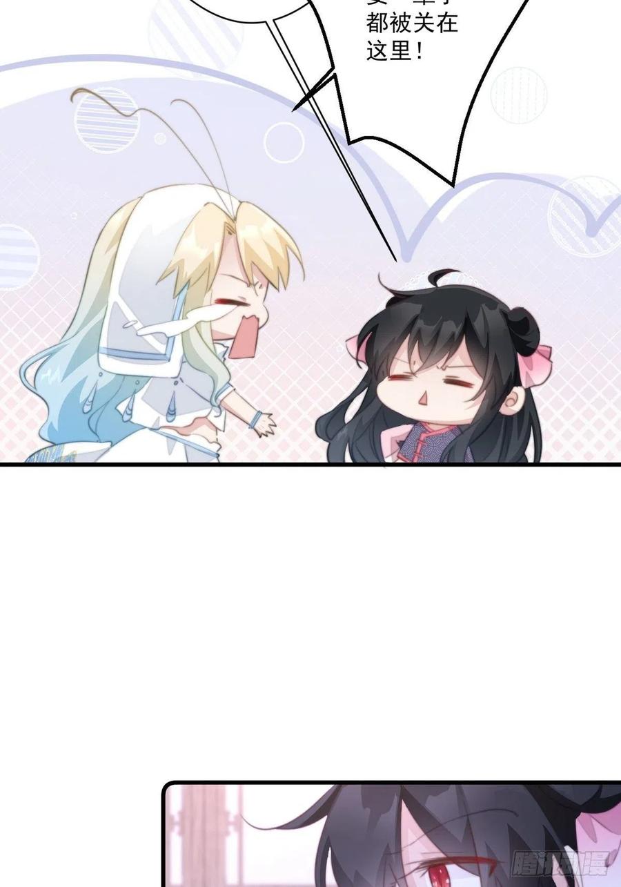 26.jpg
