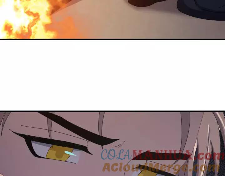 117.jpg