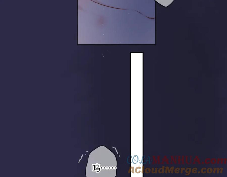 97.jpg