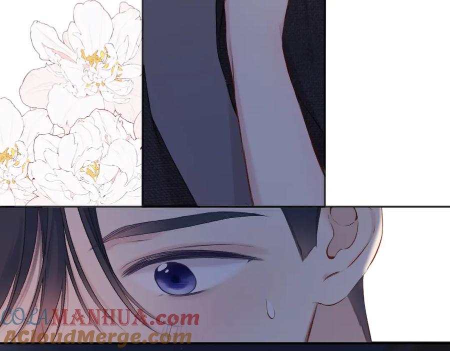 113.jpg