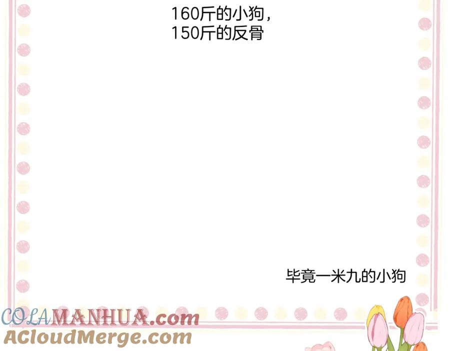 117.jpg