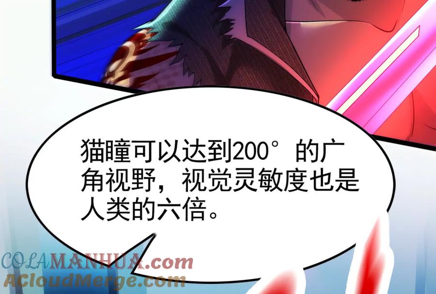 141.jpg