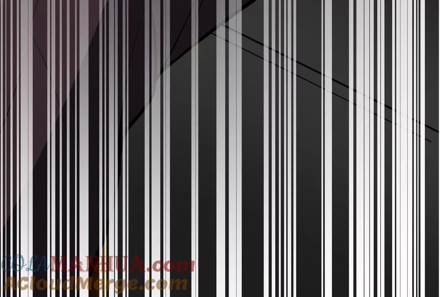 141.jpg