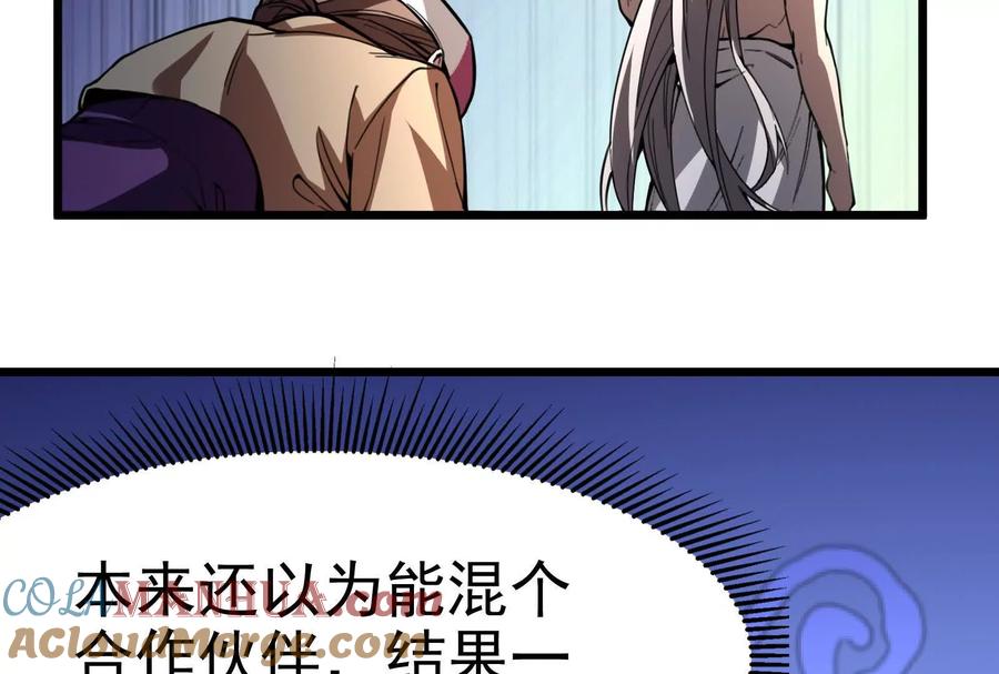 213.jpg