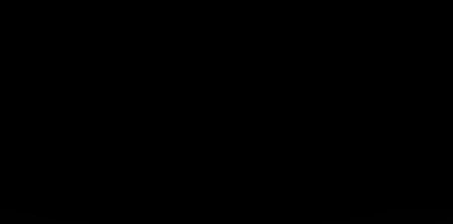 134.jpg