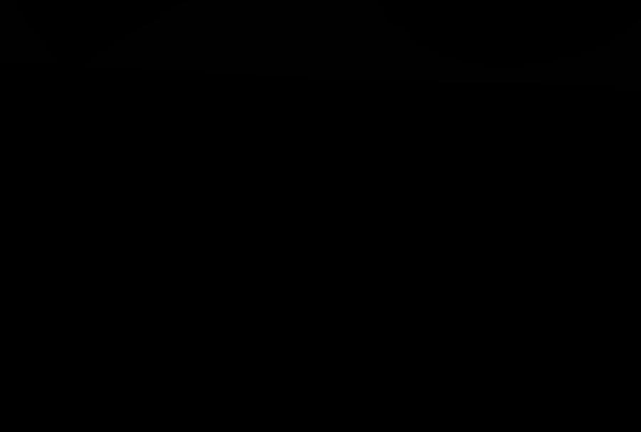 195.jpg