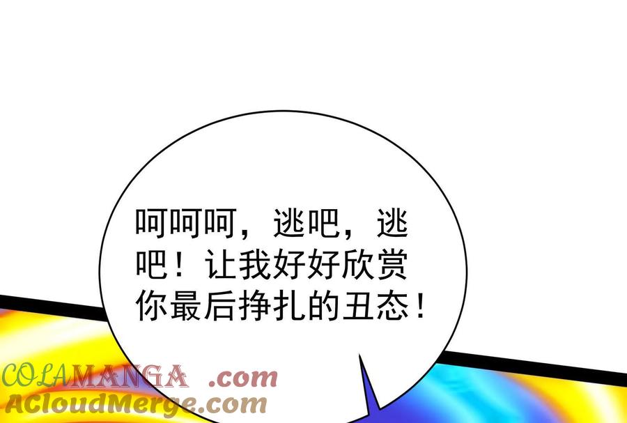 113.jpg