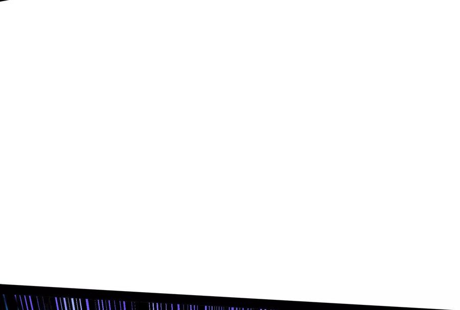 100.jpg
