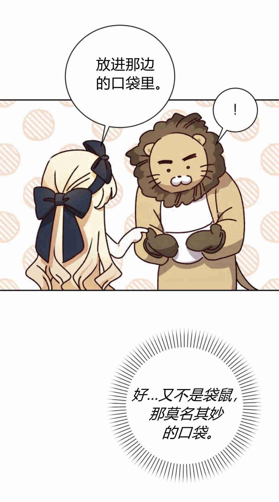 41.jpg