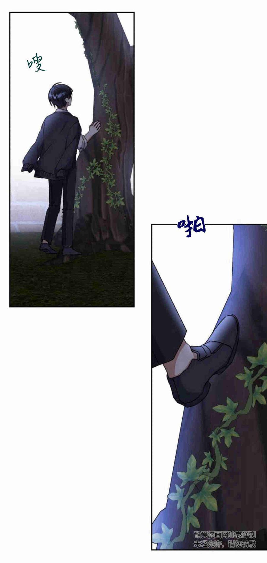 15.jpg