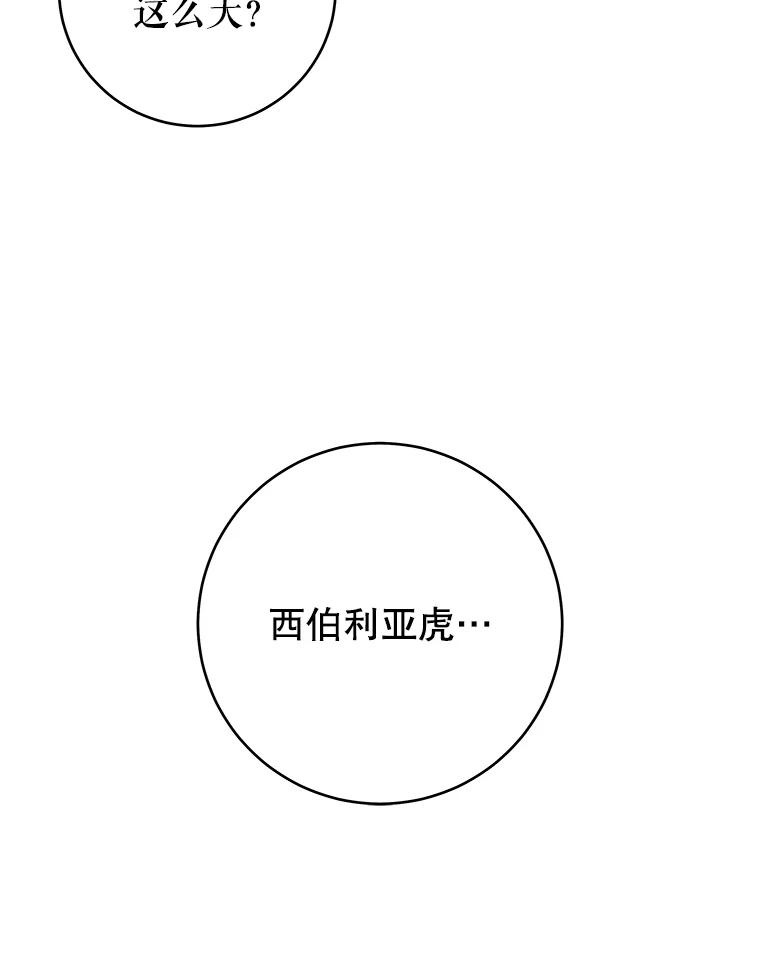 95.jpg