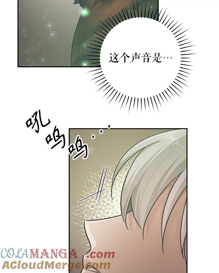 97.jpg