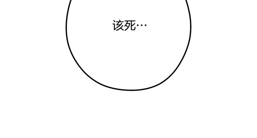 224.jpg