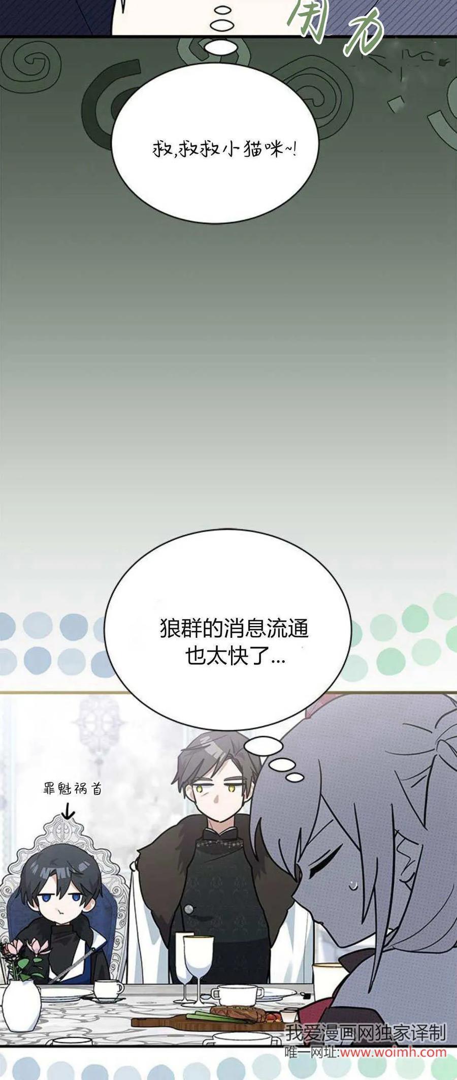 第30话-明明是猫，却被狼族收养了？-노찬주（第14张）