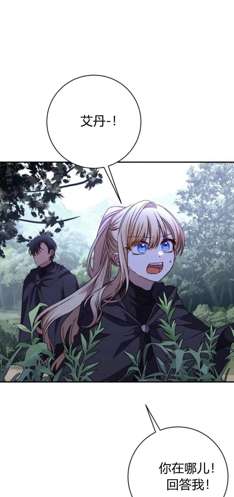 51.jpg