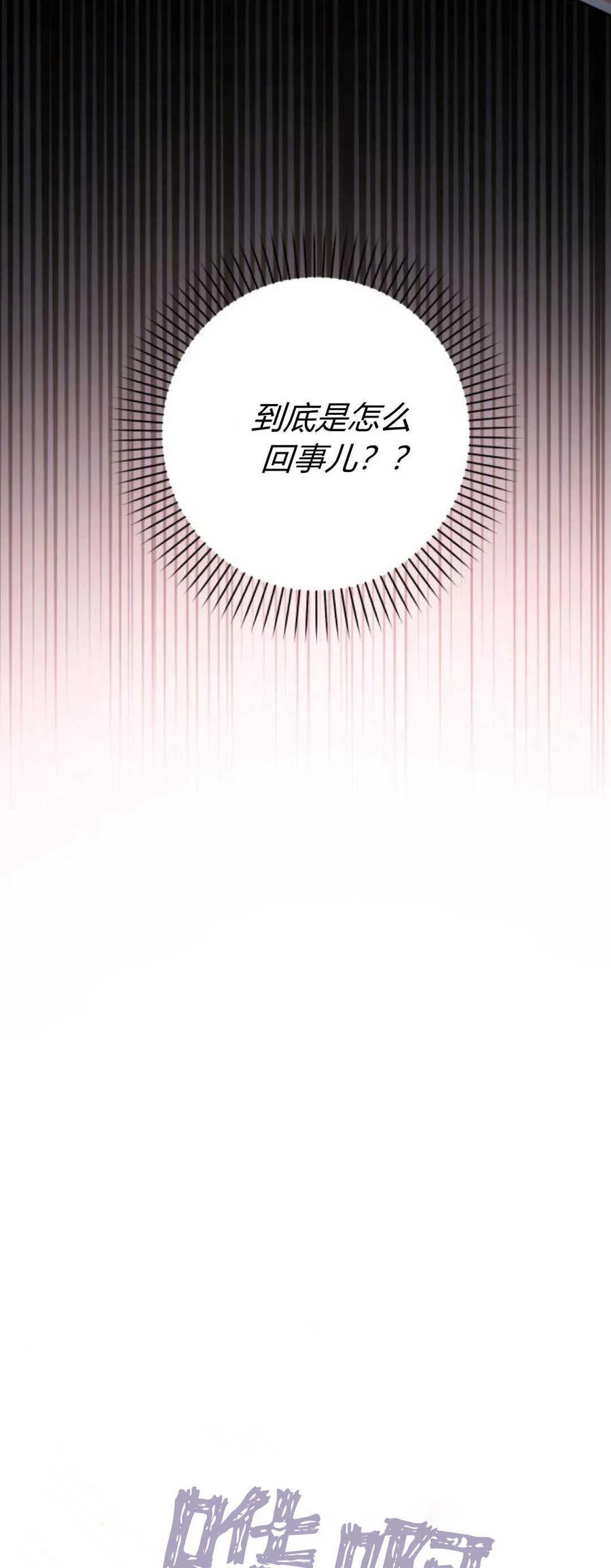 95.jpg