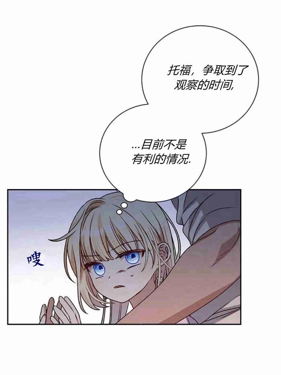 41.jpg